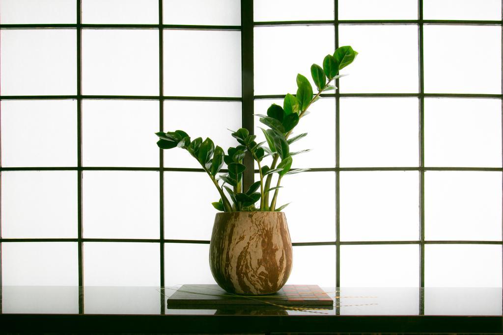 Hosta Nijo Aoi Villa Kyoto Ngoại thất bức ảnh